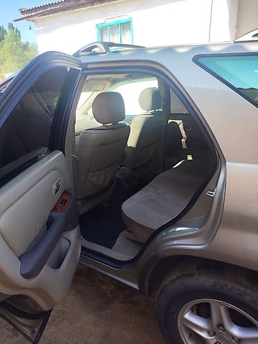 rx30: Lexus RX: 2002 г., 3 л, Автомат, Бензин, Кроссовер — 3