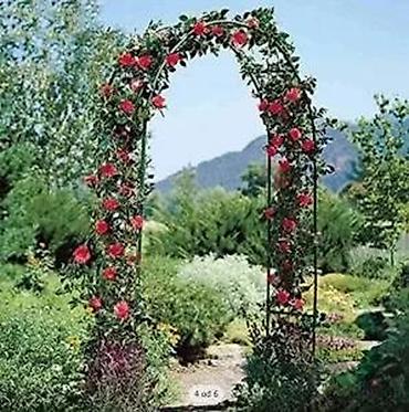 seme dipladenije: LIVARNO Home – Metalni luk za ruže (Rose Arch) - Dekorativan vrtni — 10