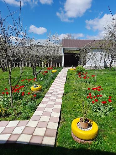 bayil heyet evi: İcarəyə təqdim olunur: geniş həyətli, eyvanlı ev 3 yatax otaxı 1 dene — 6