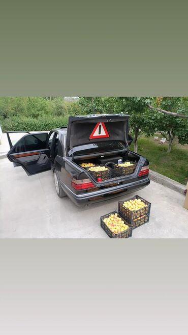 Mercedes-Benz: Mercedes-Benz W124: 1994 г., 2.8 л, Механика, Бензин, Седан — 3