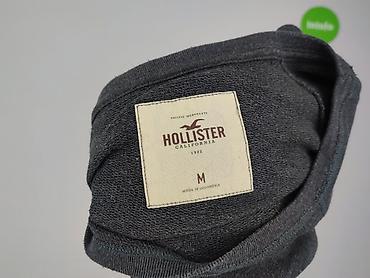 care bears: Hollister, Bluza damska
, rozmiar M — 7