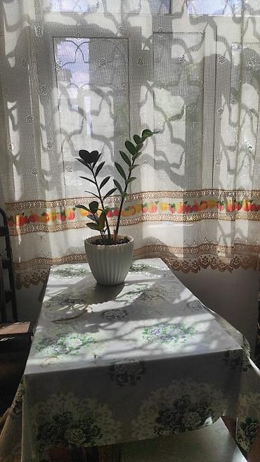 sabuncuda ev: Təcili şəhərin ən prestijli yerində, elmlər akademiyası metrosunun — 3