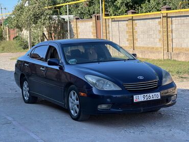 runx alex: Toyota Windom: 2003 г., 3 л, Автоматические, Газ, Седан