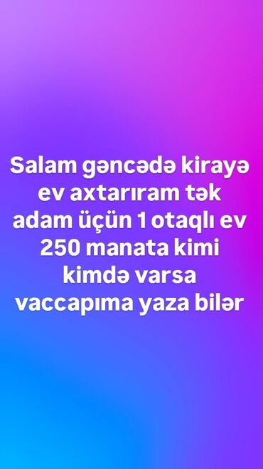 berde kiraye: Vaccapıma yaza bilərsiz