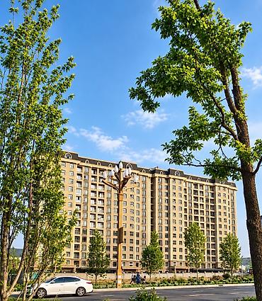 Продажа квартир: 4 комнаты, 158 м², Ала-Арча ТРЦ Элитка, 2 этаж, ПСО (под самоотделку) — 5