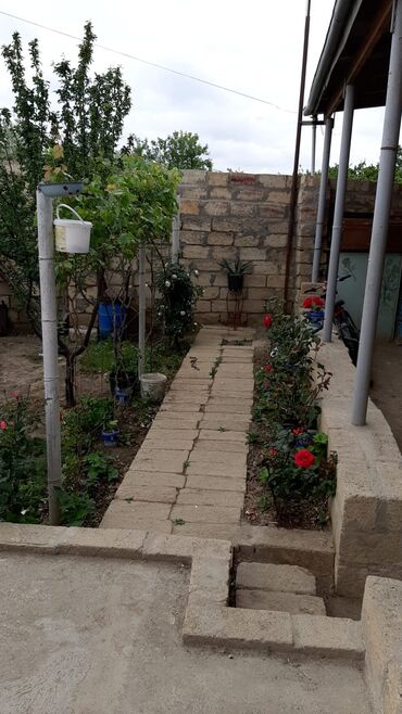 Bağ evlərinin satışı: Sumqayıt, 80 kv. m, 4 otaqlı, Hovuzsuz, İnternet, Telefon, Qaz -da lalafo.az — 10 Bağ evlərinin satışı: Sumqayıt, 80 kv. m, 4 otaqlı, Hovuzsuz, İnternet, Telefon, Qaz — 10