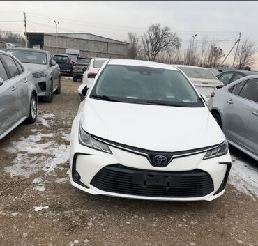 toyota land cruser 100: Toyota Corolla: 2019 г., 1.8 л, Вариатор, Гибрид, Седан