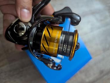 Удочки и спиннинги: Спиннинговый набор Daiwa для ловли хищника. Состав: - Спиннинговое — 8