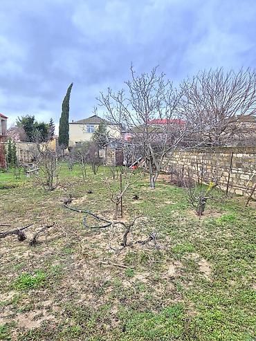 Bağ evlərinin satışı: Sumqayıt, 253 kv. m, 6 otaqlı, Hovuzsuz, Qaz, İşıq, Su — 9
