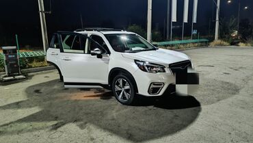 автомобиль субару форестер: Subaru Forester V (пятое поколение), кроссовер, белый перламутр