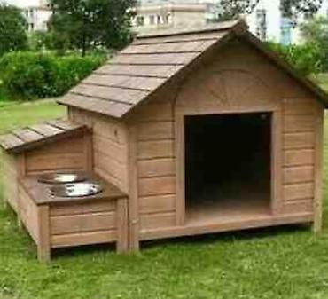 donuz heyvan: Taxta it evi — 1