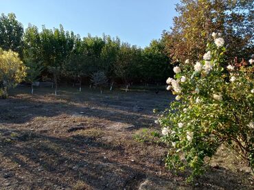 Bağ evlərinin satışı: Satılır: bağ sahəsi və yaşayış evi - Tikinti: qala-daşı divarlar — 2