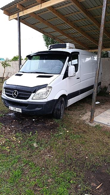 спринтеры: Mercedes-Benz Спринтер: 2007 г., Дизель, Фургон — 2