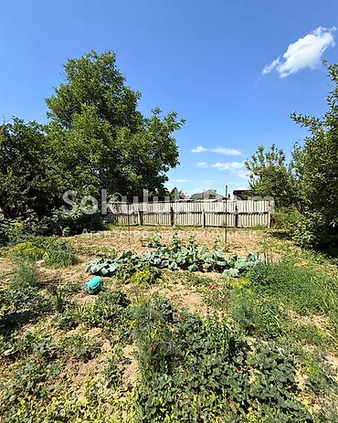 село чокморова: 🏠Продается дом в с. Первомайское 🟡Комнаты: 4 🟡Участок: 17,33 соток — 8