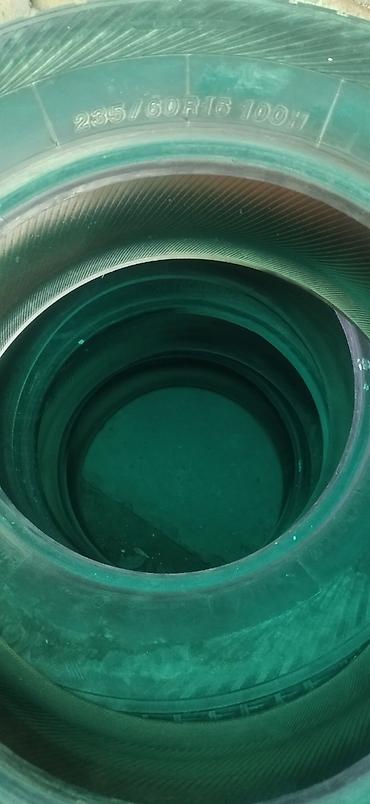 Шины: Шины 195 / 65 / R 15, Всесезонная, Б/у, Легковые, Германия — 20