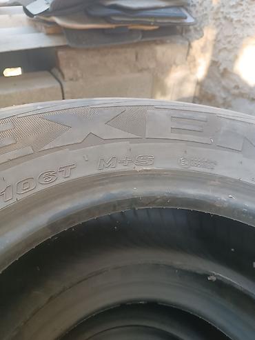255: Зимние шины Nexen (M+S), комплект из 4 шт. - Размер: P255/65 R16 - — 1