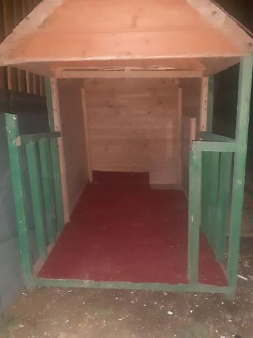 cucə yuvası: Taxta it evi / heyvan evi - Material: tam taxta konstruksiya, möhkəm — 4