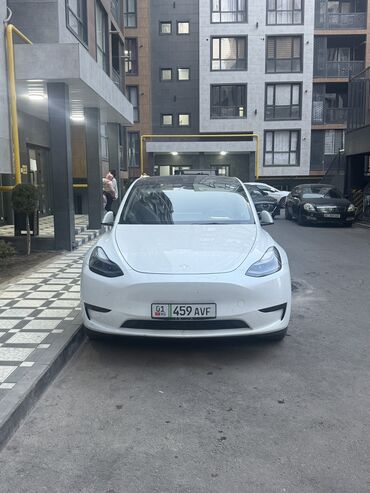 Tesla: Tesla Model Y: 2023 г., Электромобиль, Кроссовер — 5