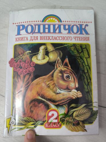 учебник английского: Учебник Родничок для внеклассного чтения. в идеальном состоянии