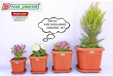 Bitkilər üçün dibçəklər: Dipçəklərin topdan və Pərakəndə satışı. Anbardan satış. Hansı formada — 26