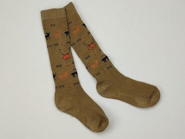 t shirty brązowy: Шкарпетки, стан - Задовільний