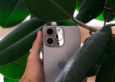 xr в корпусе: IPhone 15 Pro, Б/у, 256 ГБ, Серебристый, 90 %