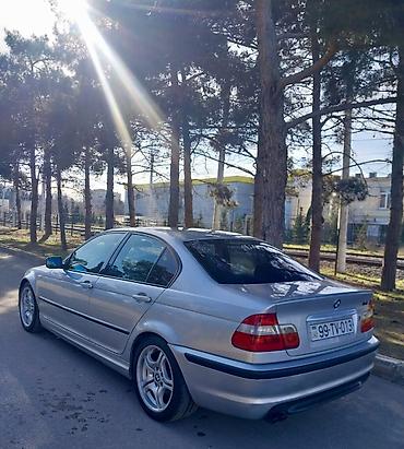 BMW: BMW 320: 2.2 l | 2003 il Sedan — 12