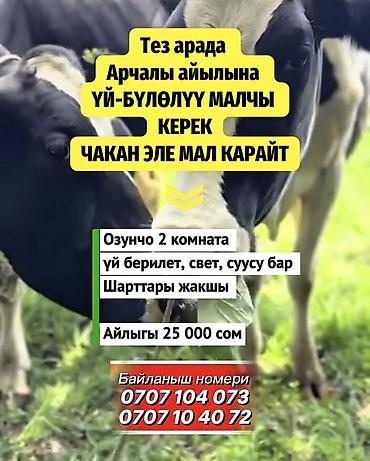 вакансия скотник: Требуется Скотник, Оплата: Сдельная — 1
