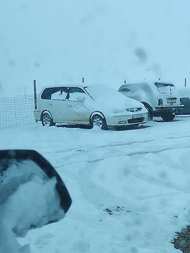 одесей: Honda Odyssey: 2000 г., 3 л, Автомат, Газ, Минивэн — 1