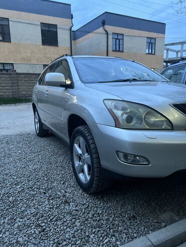 Lexus: Lexus RX: 2003 г., 3 л, Автомат, Бензин