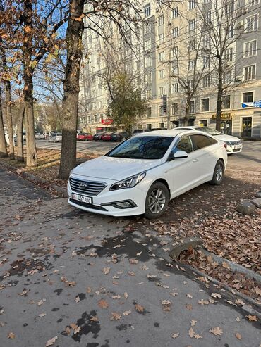 Hyundai: Hyundai Sonata: 2017 г., 2 л, Автомат, Газ, Седан