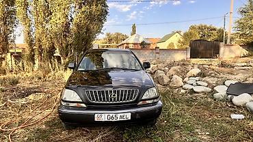 мухабойка на рх 300: Lexus RX: 2000 г., 3 л, Автомат, Бензин, Кроссовер — 4