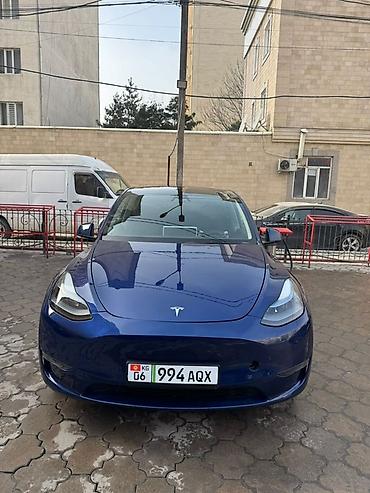 Tesla: Tesla Model Y: 2024 г., Электромобиль, Кроссовер — 1