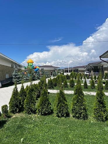 palm beach коттедж: Коттедж, Palm Beach, Чок-Тал, 5 мест — 8