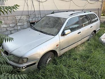 Nissan Primera: 1999 г., Механика, Универсал