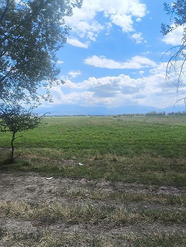 8000 соток, Для сельского хозяйства, Тех паспорт — 1