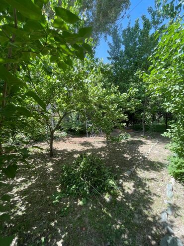 срочно продается квартира: 3 комнаты, 92 м², 1 этаж