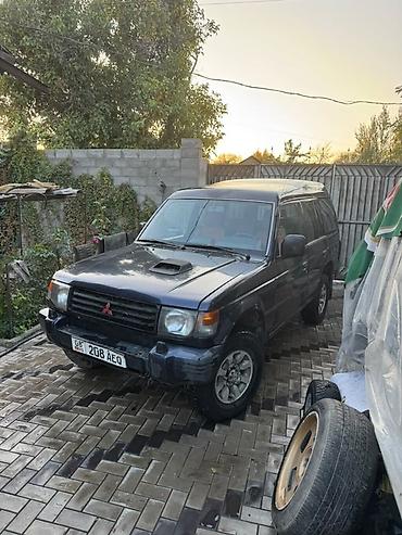 Mitsubishi Pajero: 1994 г., 2.5 л, Механика, Дизель, Внедорожник