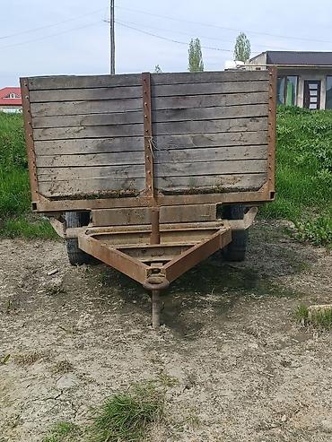 belarus yumze: SATILIR VƏ YA Heyvanan barter olunur!!! Məhsul: Kənd təsərrüfatı — 6