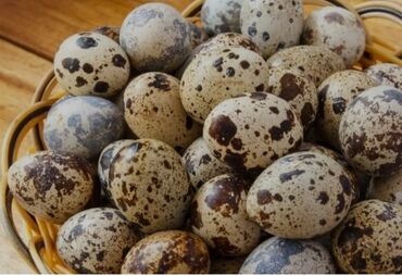 yumurta qaz: Çiy və təbii bildirçin yumurtaları. Xallı qabıqları ilə seçilən bu