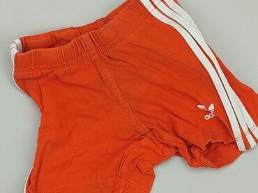 biała zwiewna letnia sukienka allegro: Shorts, Adidas, 6-9 months, condition - Good