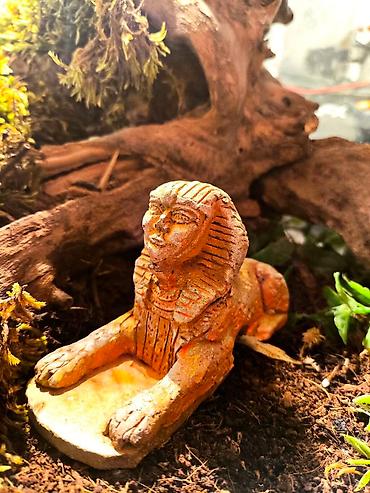 Зоотовары: 🌿 Украшения и декорации для аквариумов и террариумов 🌿 Продаю — 7