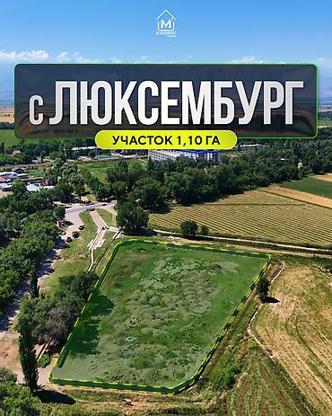 центральный мечит: 110 соток, Для строительства, Красная книга, Договор купли-продажи — 5