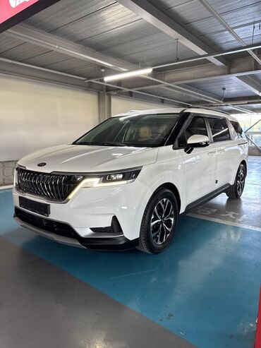антенна на авто: Kia Carnival: 2018 г.