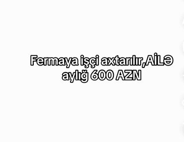 xaricde is elanlari 2020: Evdə hər bir şərait var