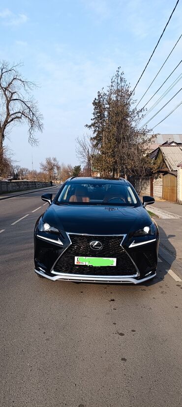 Lexus: Lexus NX: 2020 г., 2 л, Автомат, Бензин, Кроссовер