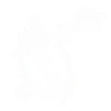 Motorne testere: Komplet cilindar i klip za dvotaktni motor testere Opis: - — 8