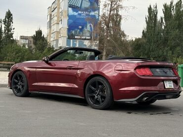 Ford: Ford Mustang: 2018 г., 2.3 л, Автомат, Бензиновая, Кабриолет — 6