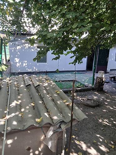 3х: Продаю срочно дом 3х ком уч 4 сот дом 65 кв район аламедин базара — 8