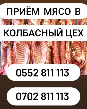 продам ячмень оптом: Сатып алам | Уйлар, букалар, Жылкылар, аттар | Бардык шартта, Союлган, Союуга, этке